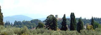 Olive tree and cypress landscape in Florence. Olive oil and wine are some of the most typical and apreciated agricultural products of Tuscany.